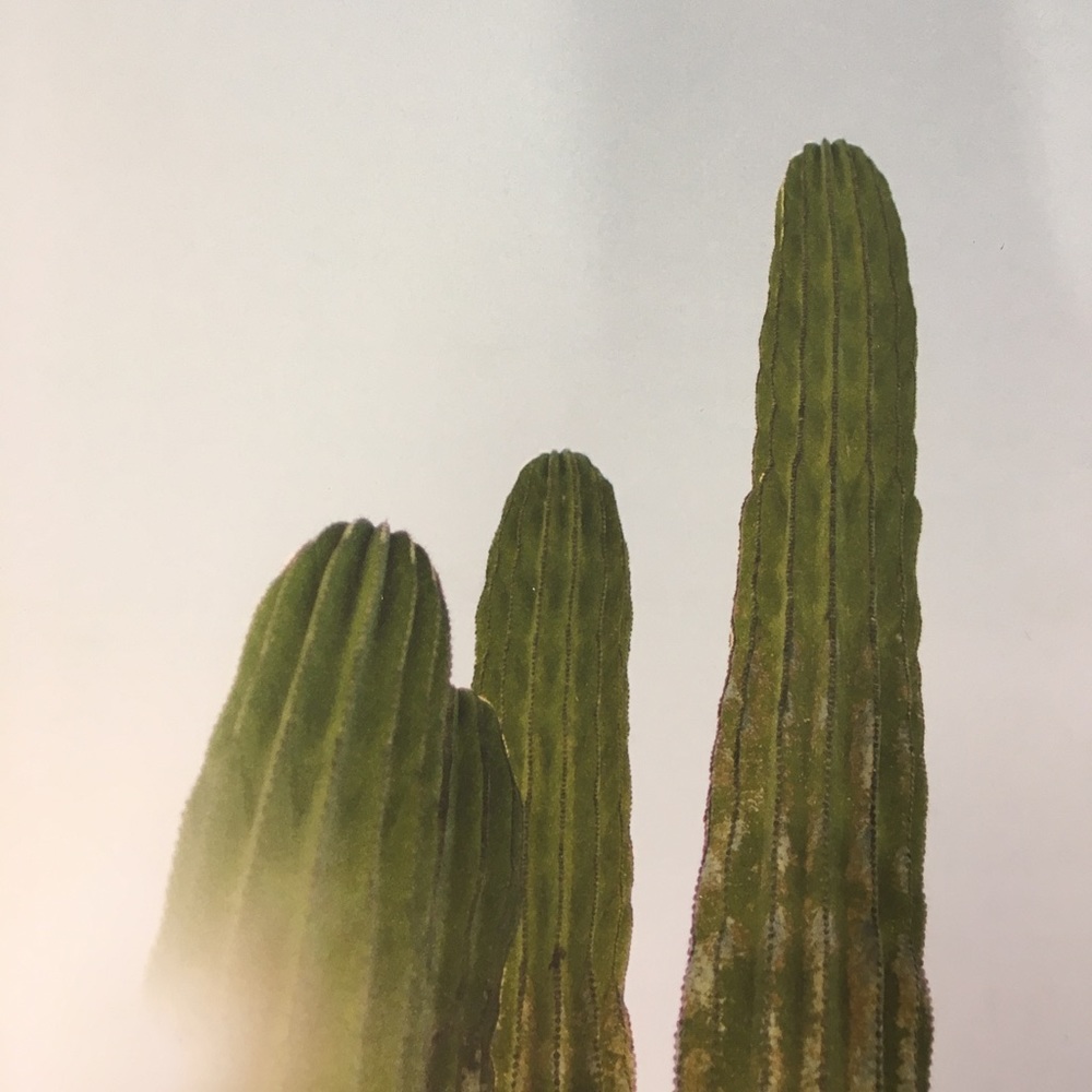 Meet your Posher, Sierra